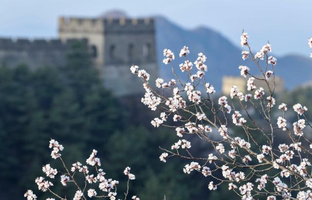 Cina: panorama primaverile della Grande Muraglia nello Hebei (1)