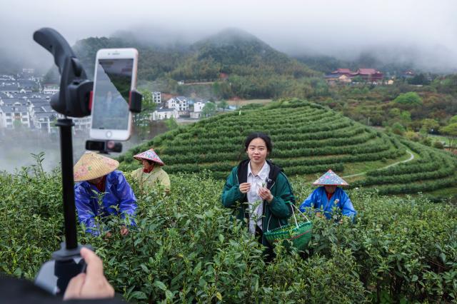 Cina: industria del t&egrave; Wuzhou Juyan a Jinhua nello Zhejiang (1)
