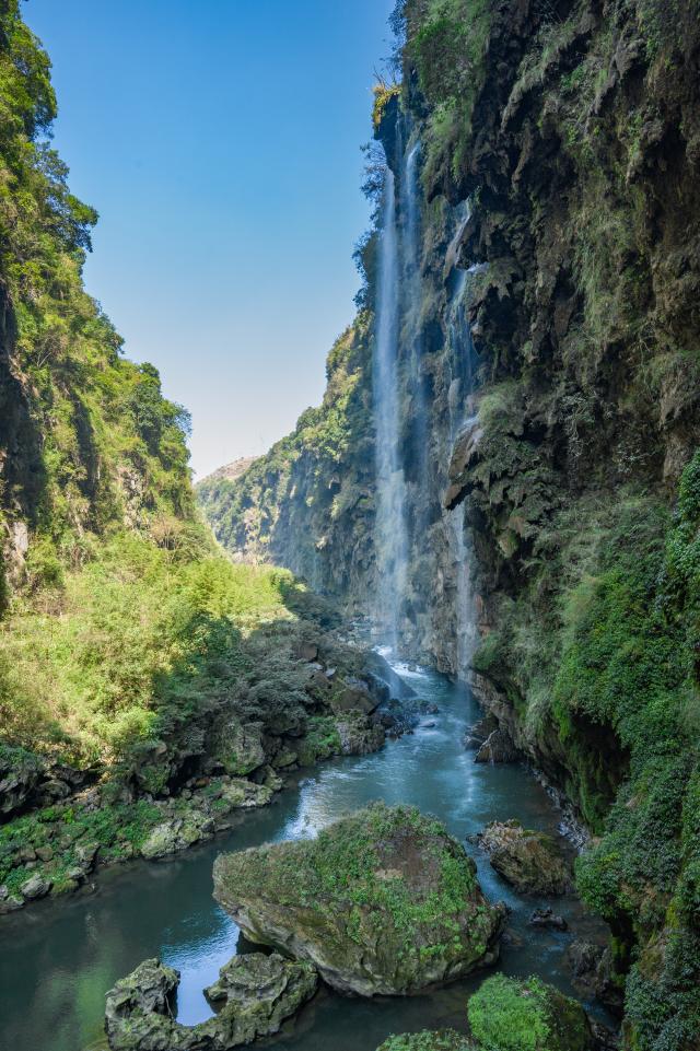 Cina: scoperta nuova specie di Asteraceae nel Guizhou