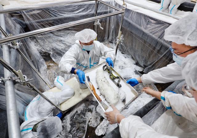 Cina: Sichuan, esperto restaura reperti culturali a Sanxingdui (2)