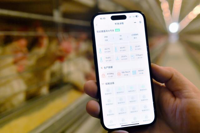 Cina: spedizioni smartphone raggiungono 69,3 mln unit&agrave; nel Q1