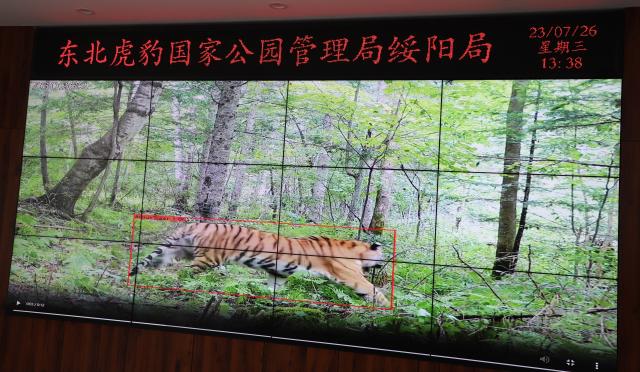 Cina: mira a creare pi&ugrave; grande sistema di parchi nazionali del mondo