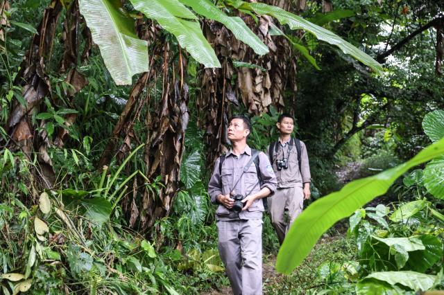 Cina: avvier&agrave; quinta indagine su condizioni ecologiche nazionali
