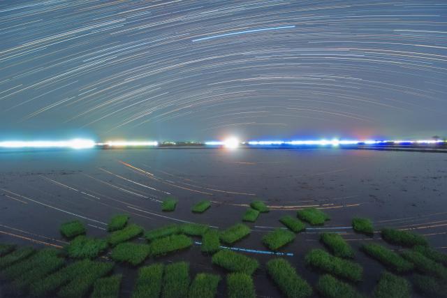 Cina: Heilongjiang, panorama notturno delle risaie (1)