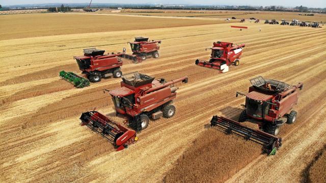 Cina: in corso raccolta del grano in seconda area di produzione