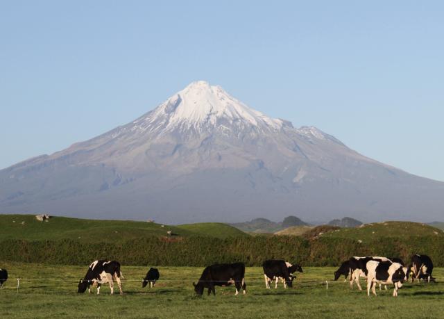 Cina-Nuova Zelanda: Ceo Fonterra Greater China, legami avvantaggiano imprese, consumatori