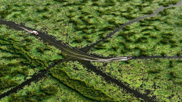 Cina: Shandong, parco di zone umide a Jining (1)