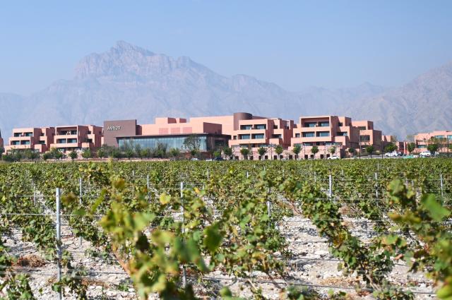 Cina: Ningxia, Dulaan Holiday Wine Stroll nella contea di Helan (1)