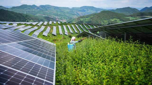 Cina: funzionario, vanta maggior sistema energia rinnovabile in pi&ugrave; rapida crescita al mondo