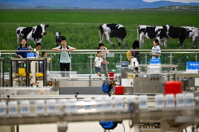 Cina: sviluppo di alta qualit&agrave; dell'industria lattiero-casearia nella Mongolia Interna (1)