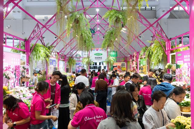 Cina: esposizione floreale di Kunming nello Yunnan (1)