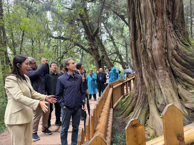 Cina-Italia: Strada per Shu e Via Appia, dialogo tra civilt&agrave; attraverso montagne e mari