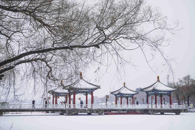 Cina: Changchun imbiancata dopo l'arrivo di un nuovo fronte freddo (1)