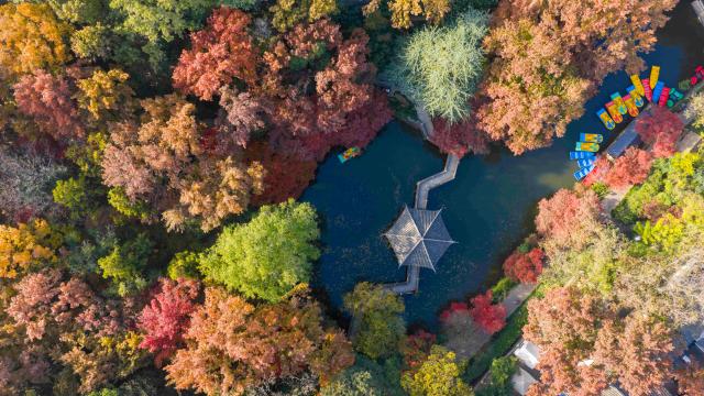 Cina: annuncia progressi in conservazione risorse di germoplasma forestale, delle praterie