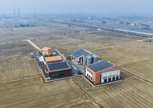 Cina: nel 2025 aumenta terreni agricoli di alto livello grazie a spinta verso modernizzazione