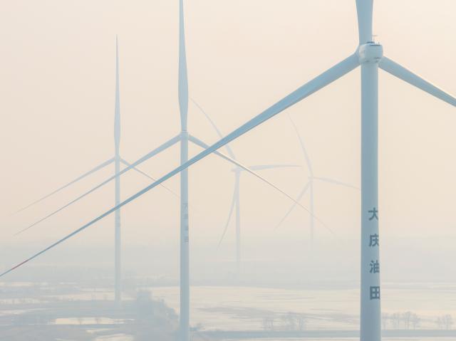 Cina: Heilongjiang esplora nuovi percorsi per lo sviluppo ecologico (1)