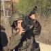 Cisgiordania, coloni e soldatesse israeliane attaccano civili a Kaubar e al-Bireh durante raccolta olive, considerata risorsa economica e culturale - VIDEO