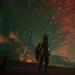 "La Divina Commedia" diventa un videogioco dark-fantasy