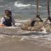 Riemergono dal mare antichi reperti egizi ad Alessandria