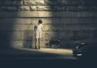 Fonte: Licenze creative commons, web searching