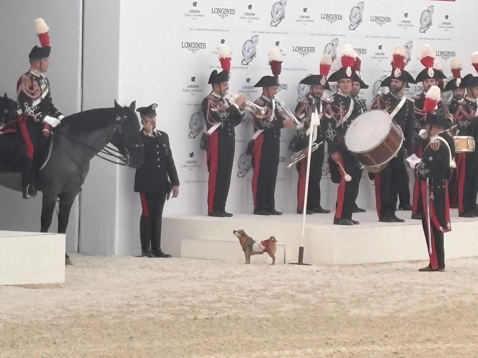 Ph. Alessandra Basile