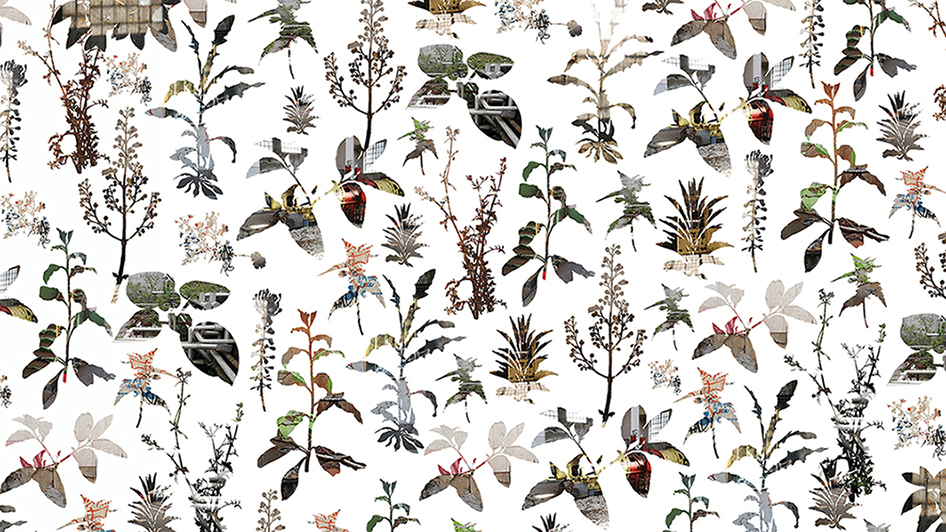 Untitled_wallpape_low Fonte/credits: Wizard Gallery Milano