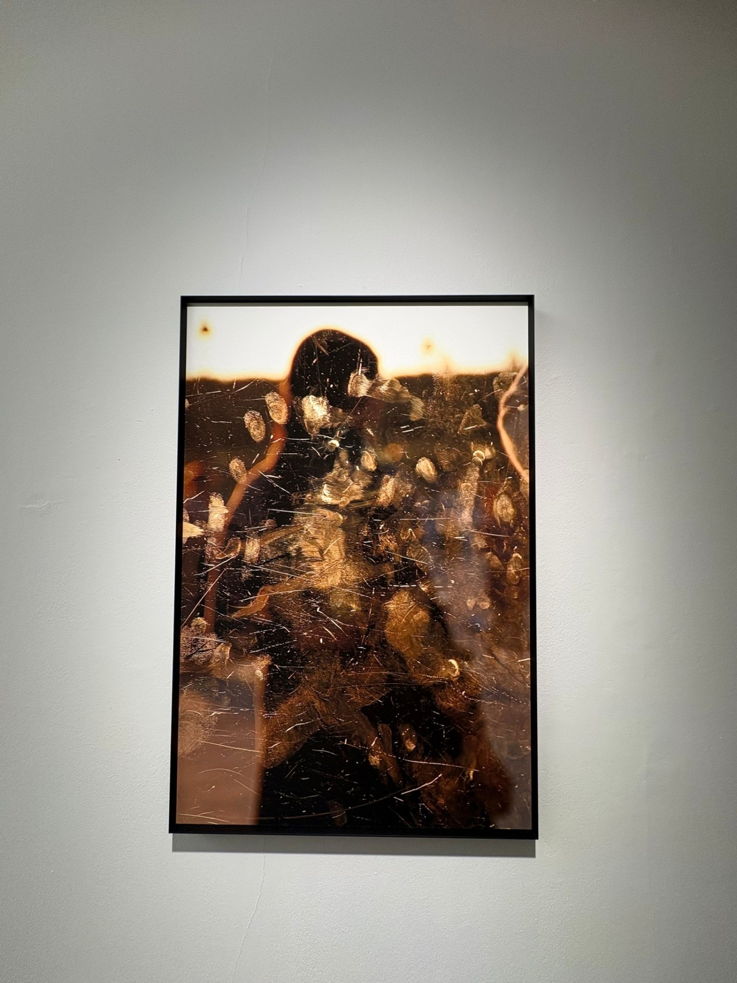 Ph. Alessandra Basile