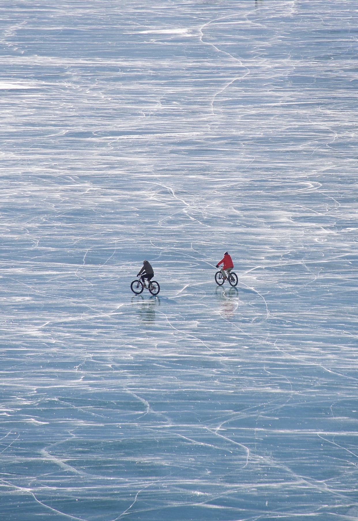 Fonte/credits: ph. Silvia Astoli, Galleria Federica Ghizzoni