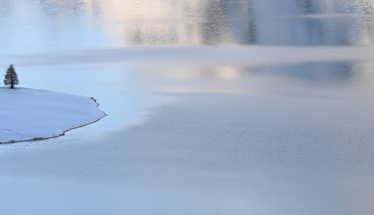 Frozen Shores Fonte/credits: ph. Silvia Astoli, Galleria Federica Ghizzoni