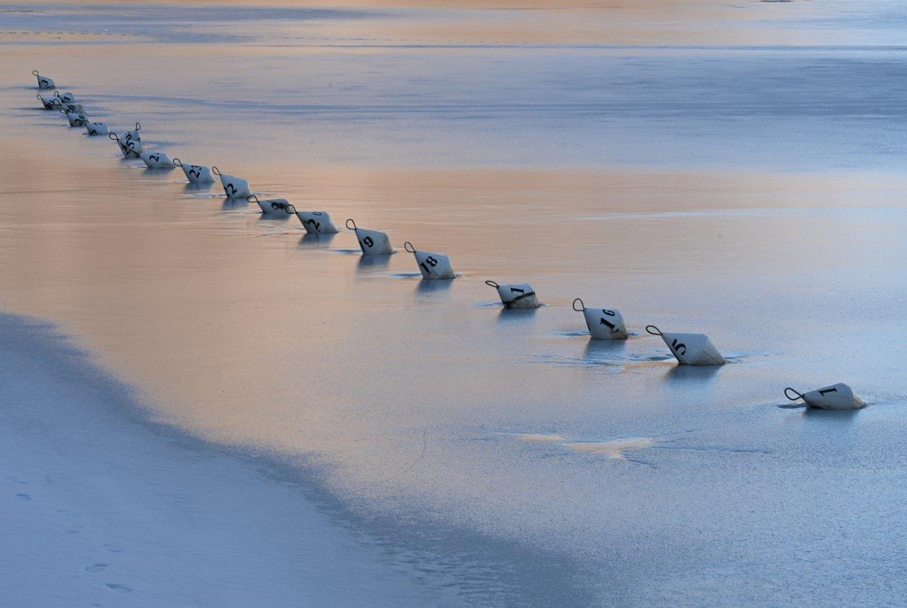 Fonte/credits: ph. Silvia Astoli, Galleria Federica Ghizzoni