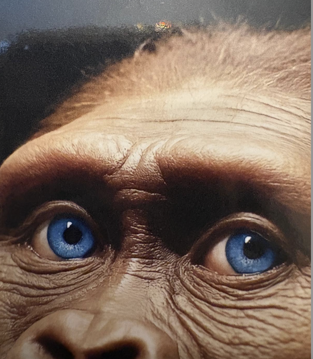 Ph. Alessandra Basile